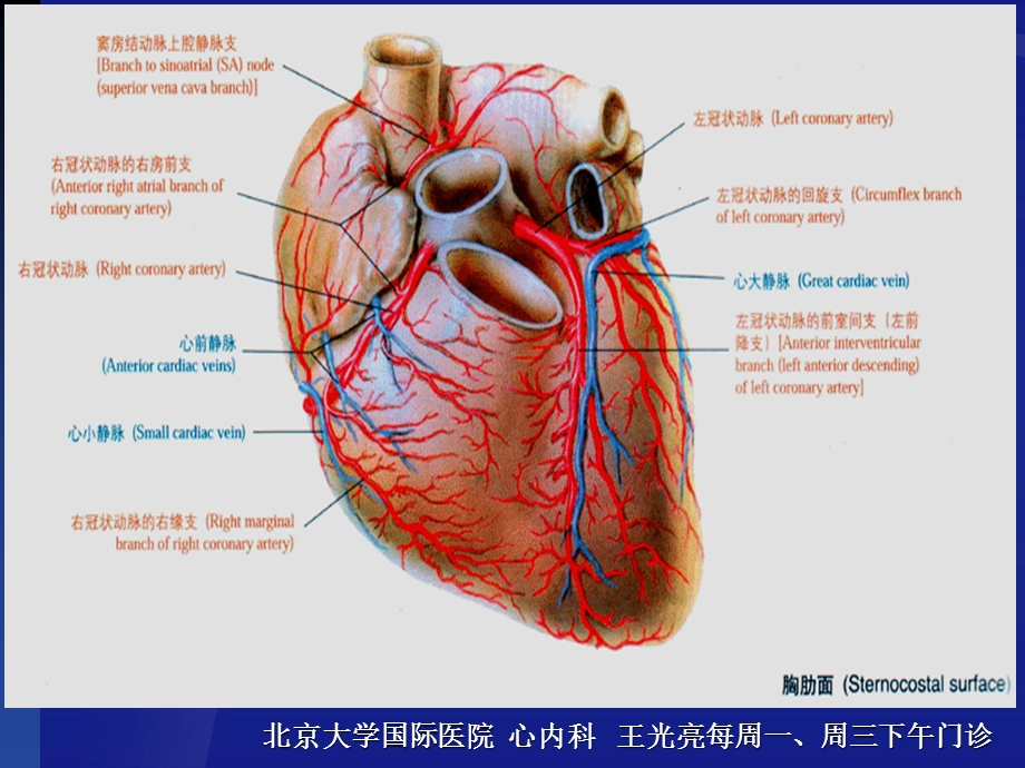 冠心病诊疗 北京大学国际医院 心内科 王光亮医生.ppt_第3页