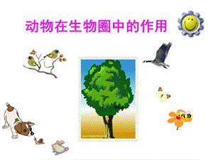 动物在生物圈中的作用 1.ppt