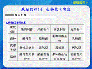 基础回归生物技术实践.ppt