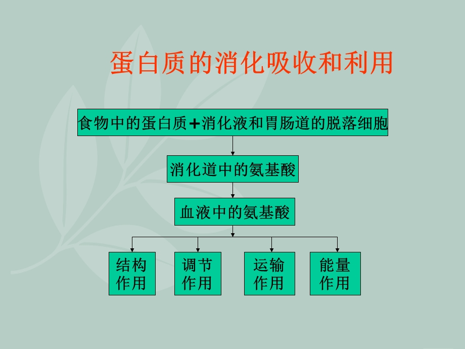 大豆蛋白完整版.ppt_第3页