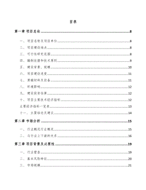 宣城水性涂料项目可行性研究报告.docx