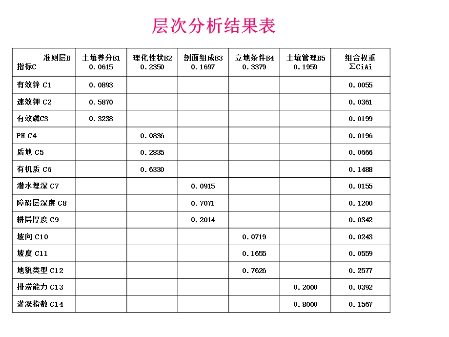 层次分析结果表.ppt_第1页