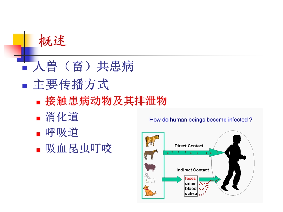 动物源性细菌其他细菌.ppt_第3页