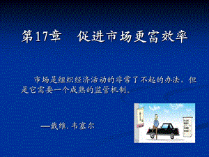 第17章促进市场更富效率萨缪尔逊经济学第十八版微观经济学(浙江财经学院).ppt