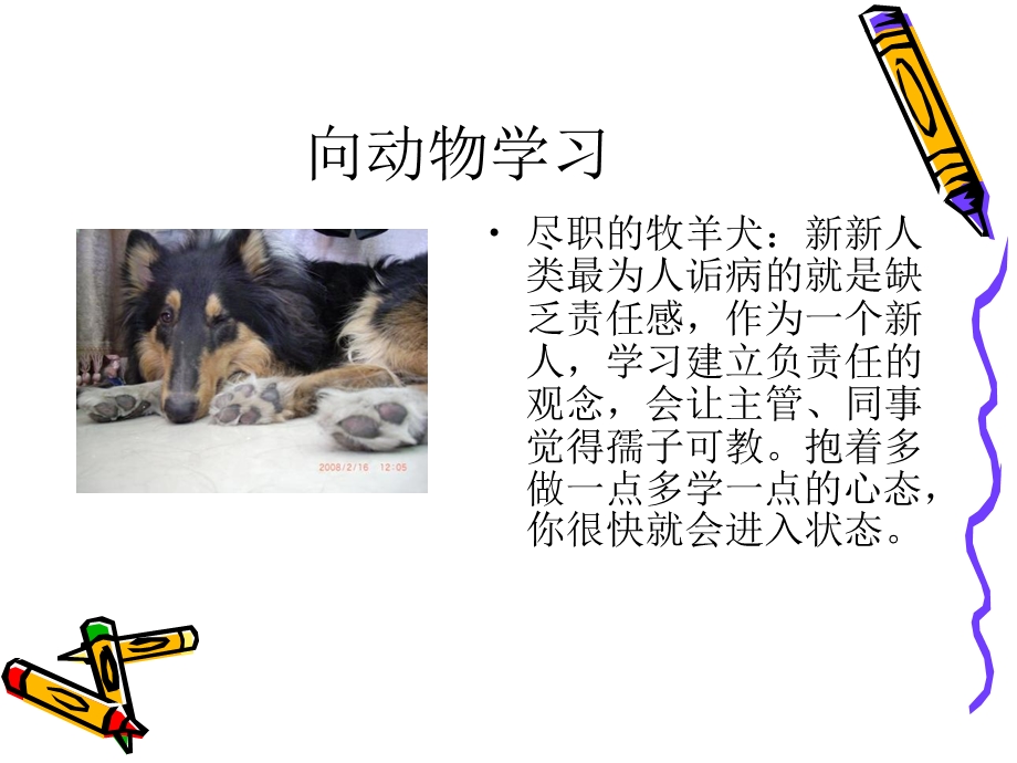 初入职场如何取胜.ppt_第2页