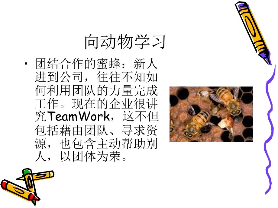 初入职场如何取胜.ppt_第3页