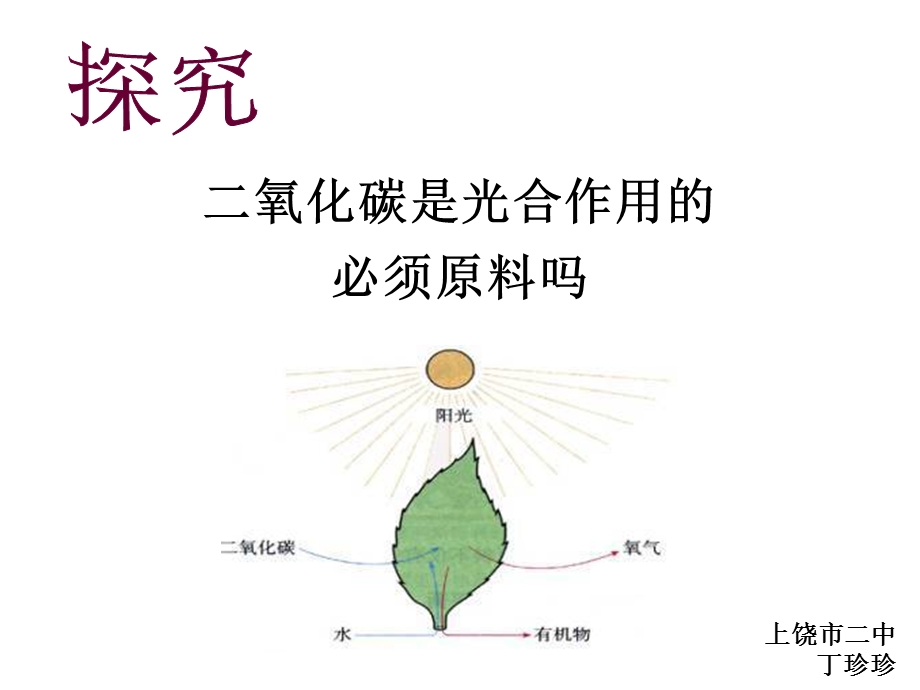 初中生物创新实验说课.ppt_第1页