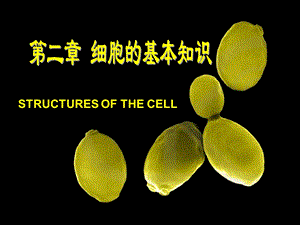 分子生物学大学第二章.ppt