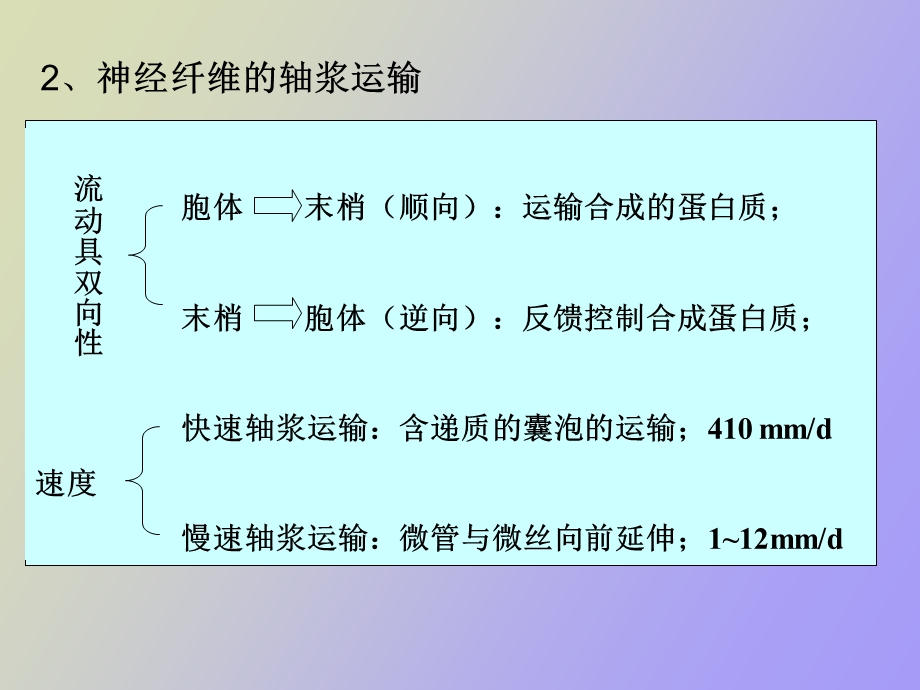 动物生理学第十三章神经系统的运动机能.ppt_第3页