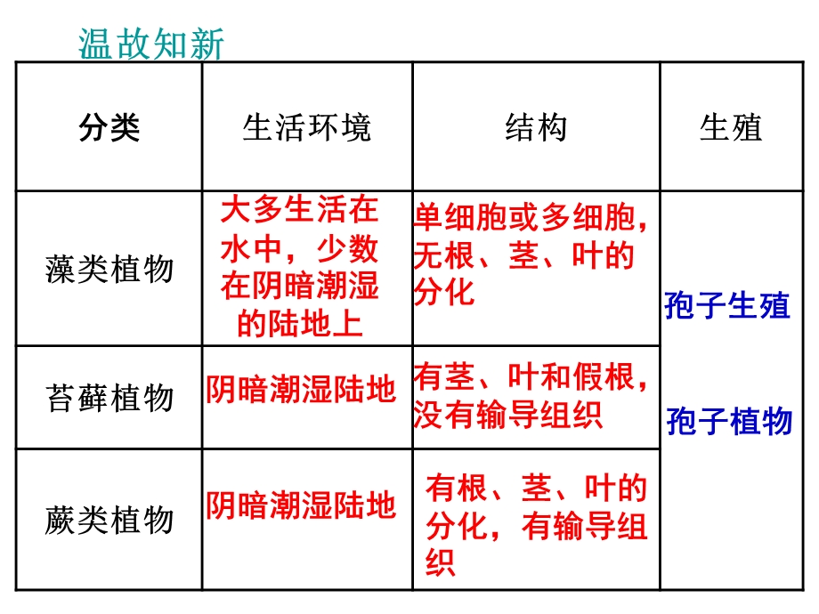 初一生物《种子植物》.ppt_第1页