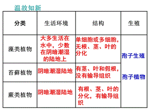 初一生物《种子植物》.ppt