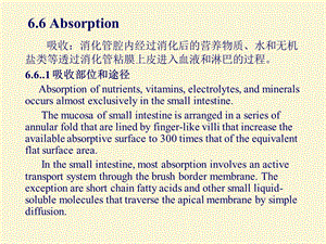 动物生理学6消化与吸收.ppt