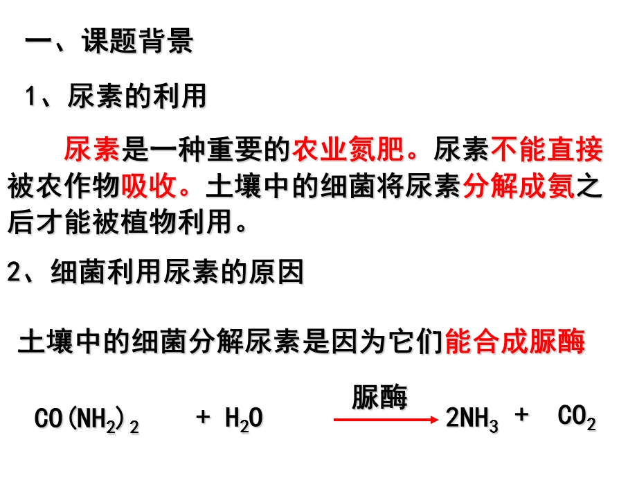 分解尿素的细菌的分离.ppt_第2页