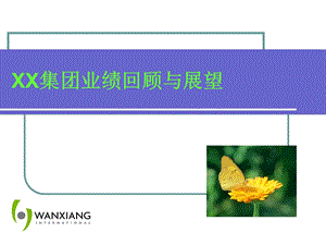 公司业绩回顾和展望范本.ppt