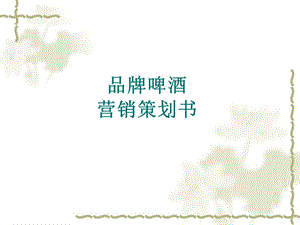 品牌啤酒广告策划书.ppt