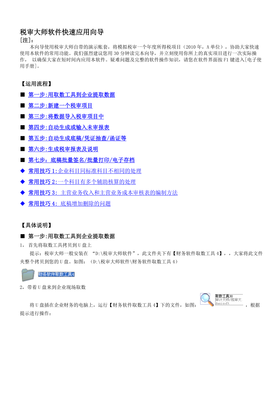 税审大师快速应用向导.doc_第1页