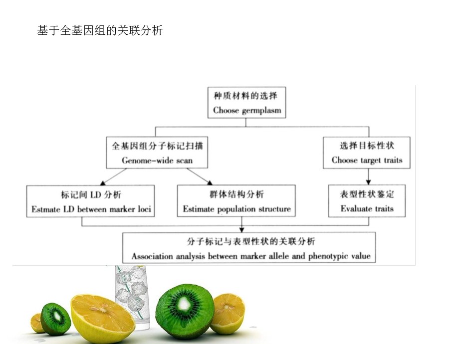 关联分析基础知识.ppt_第3页