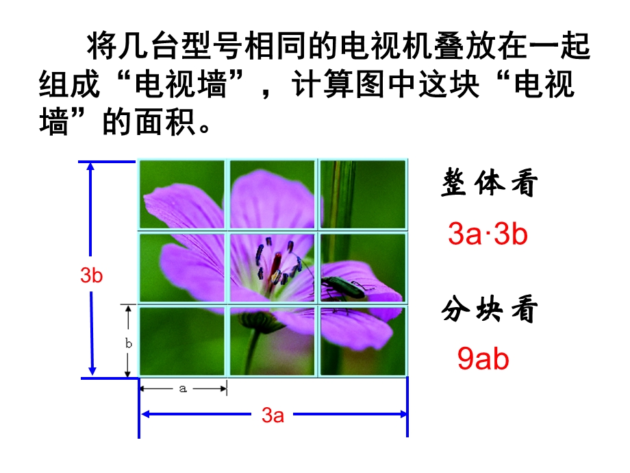 初中数学七年级下册(苏科版).ppt_第2页