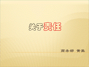 公司内部培训(责任心).ppt