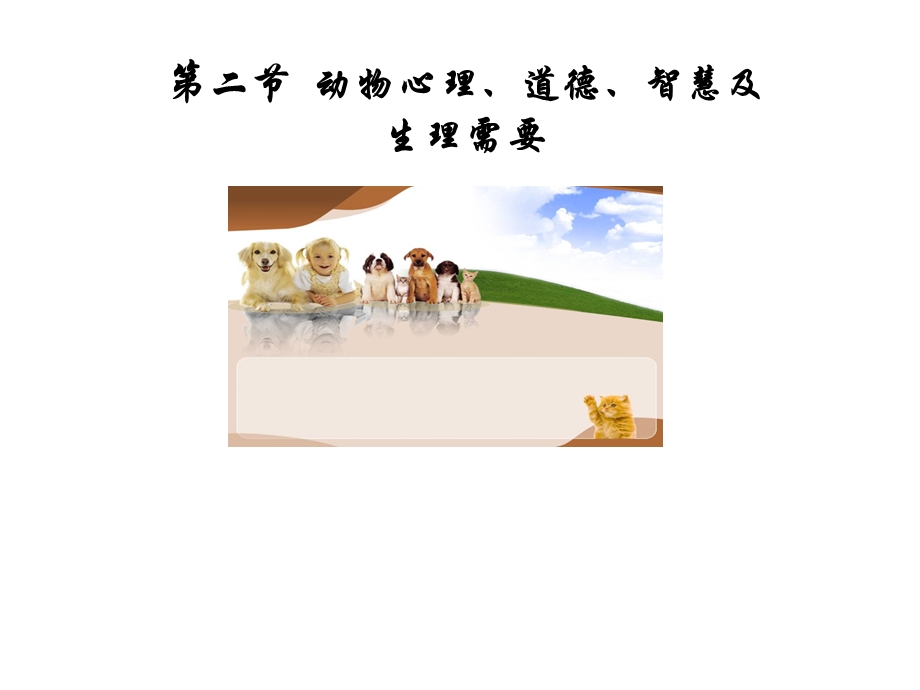 动物心理、道德.ppt_第1页