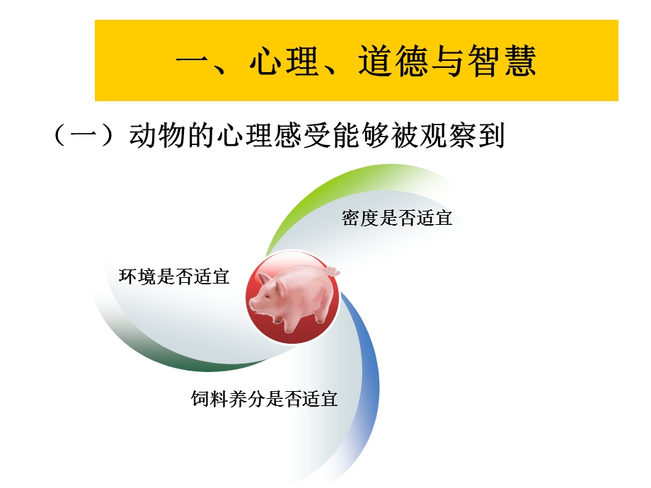 动物心理、道德.ppt_第2页