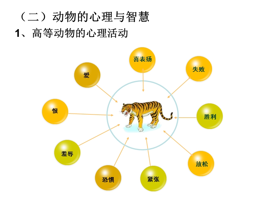 动物心理、道德.ppt_第3页