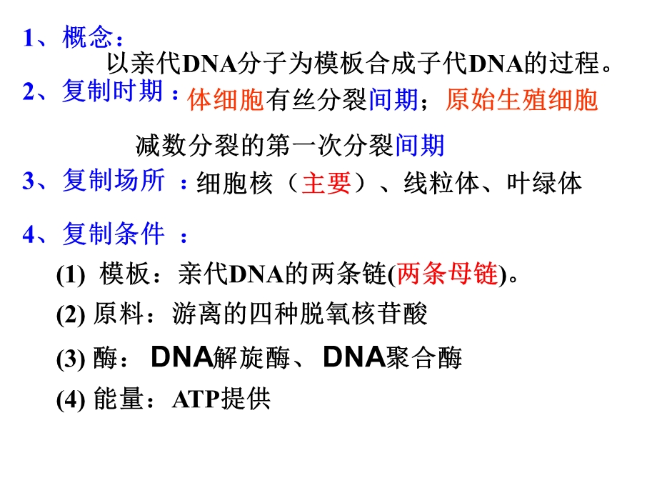 复习DNA分子的复制.ppt_第2页