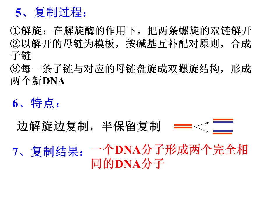 复习DNA分子的复制.ppt_第3页