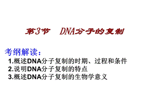 复习DNA分子的复制.ppt