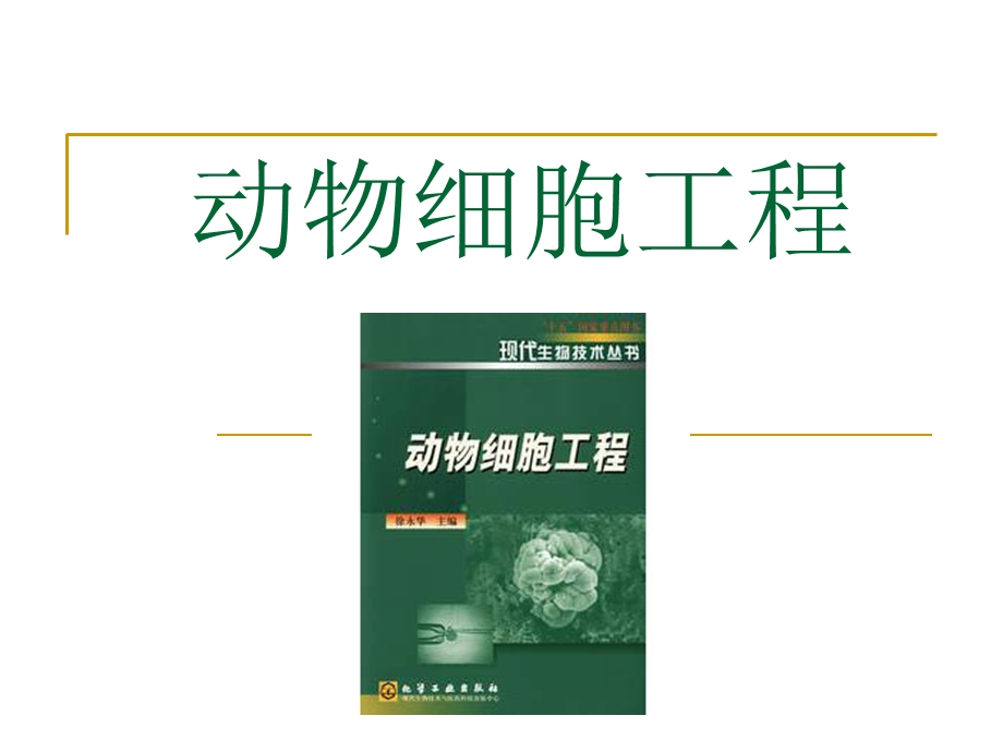 动物细胞工程-课件.ppt_第1页