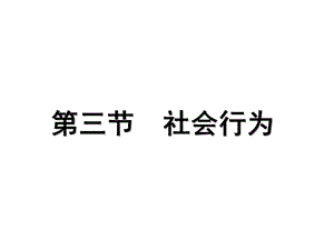 八年级生物上册《社会行为》课件新人教版.ppt