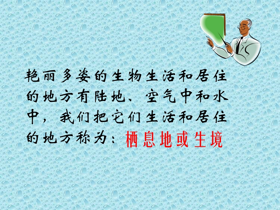 地球上的生物全.ppt_第2页