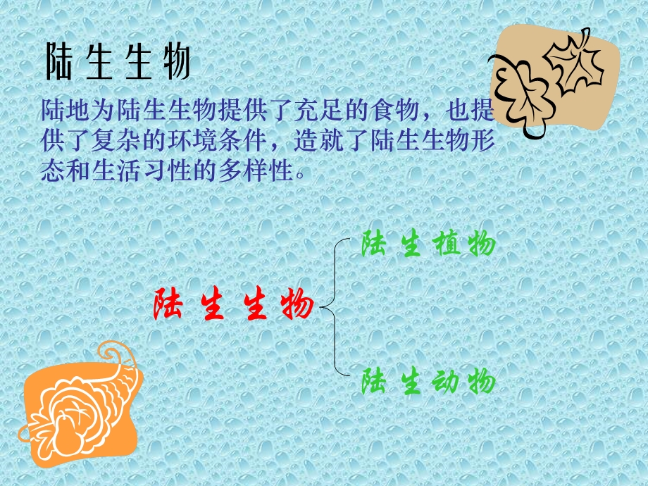 地球上的生物全.ppt_第3页