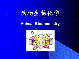 动物生物化学AnimalBiochemistry.ppt