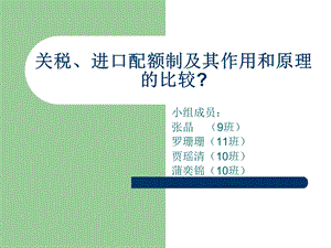 关税、进口配额制及其作用和原理的比较.ppt