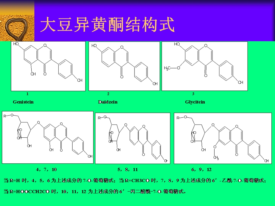 大豆异黄酮项目简介.ppt_第2页