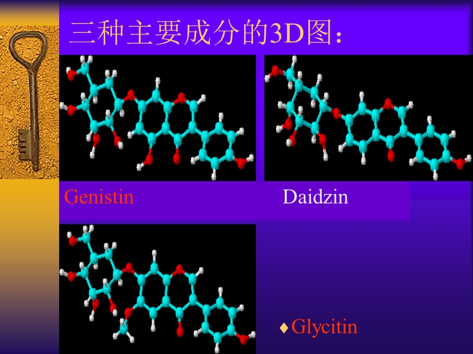 大豆异黄酮项目简介.ppt_第3页