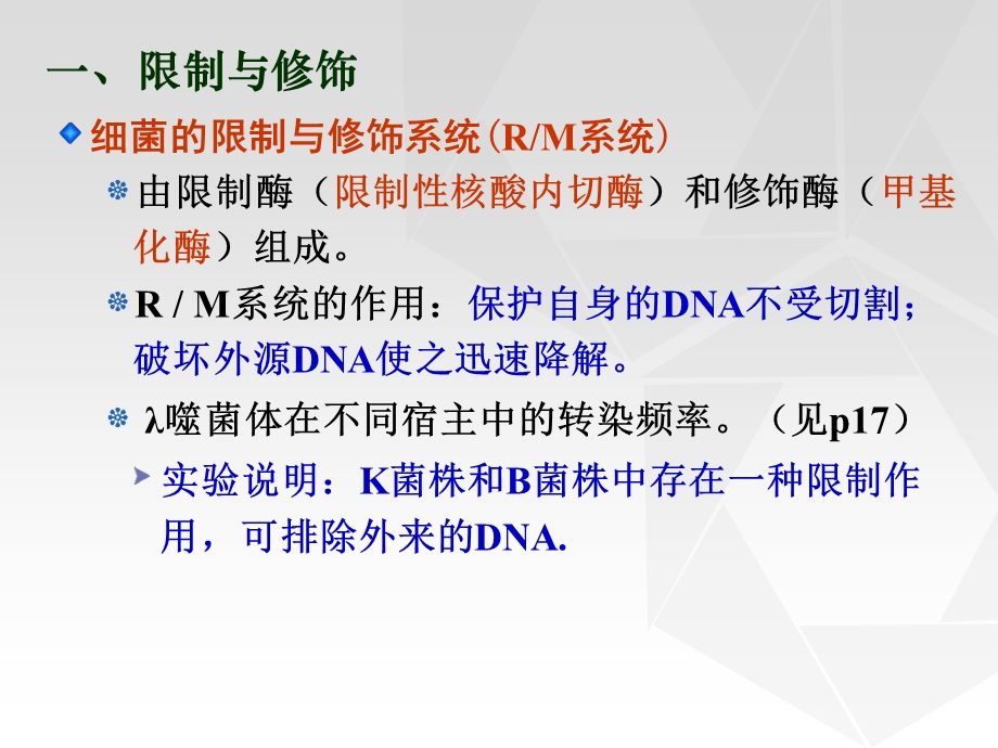 分子克隆工具酶-13级.ppt_第3页