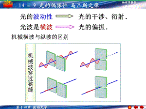 光的偏振性马吕斯定律.ppt