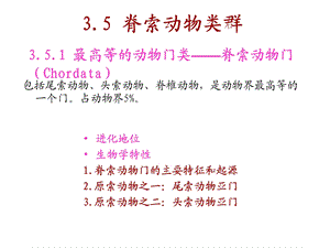 动物生物学3-5-2脊索动物门和圆口纲.ppt