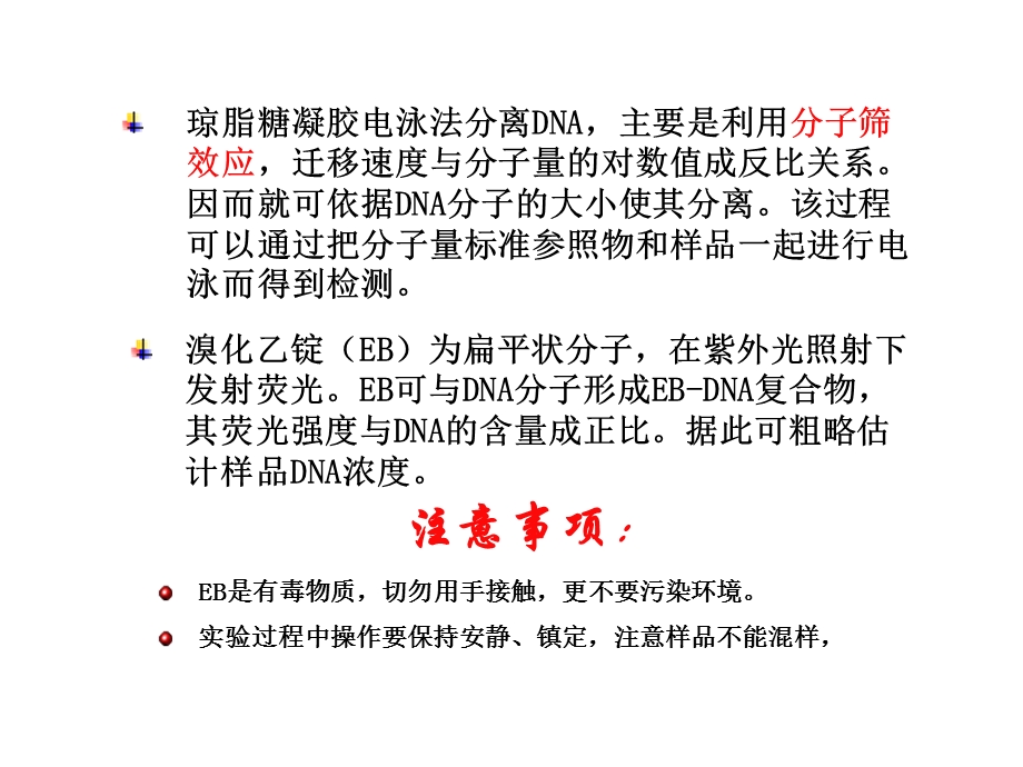 实验琼脂糖凝胶电泳及DNA纯化.ppt_第3页