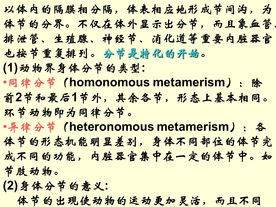 动物学5环节动物门Annelida.ppt_第2页