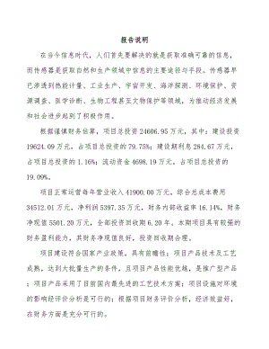 宜宾温度传感器项目可行性研究报告.docx