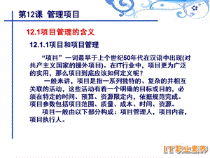 it职业素养第十二章.ppt