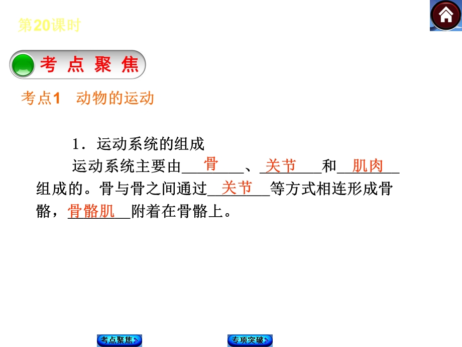 动物的运动和行为(24张ppt).ppt_第2页