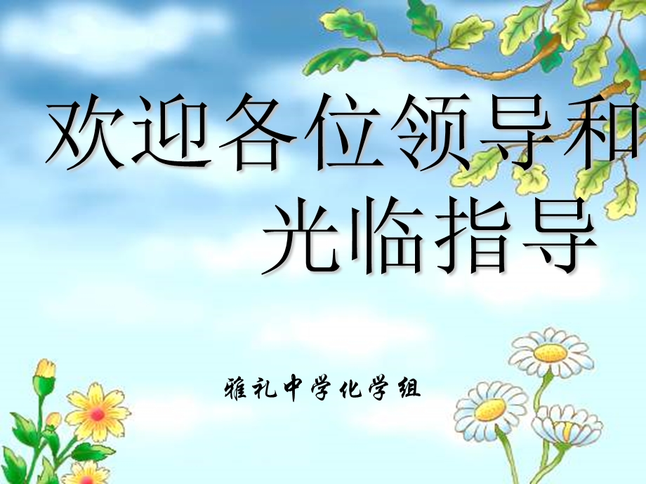 化学水溶液中的平衡.ppt_第1页