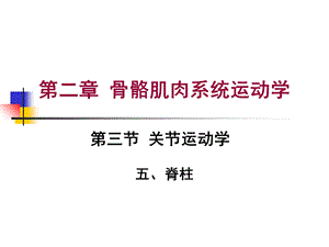 关节运动学脊柱运动学概述.ppt