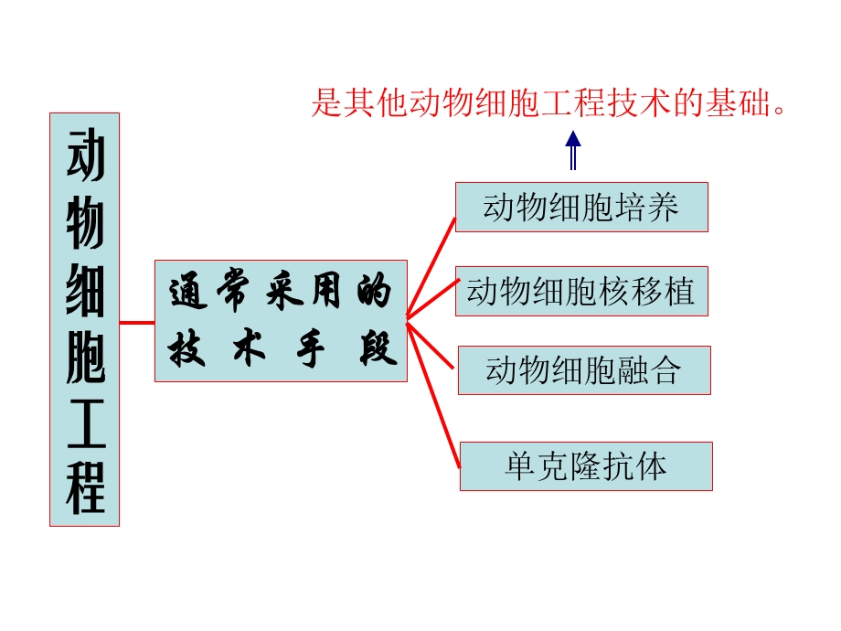 动物细胞工程(第一课时).ppt_第2页