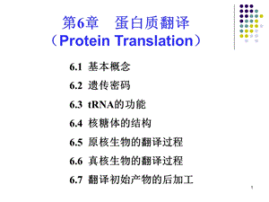 分子遗传学第6章蛋白质翻译.ppt