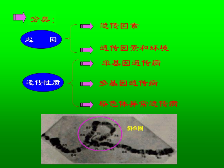 动物分子遗传育种学(第5章).ppt_第2页